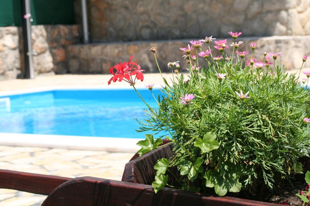 Apartments Petricic With Swimming Pool Ičići Kültér fotó